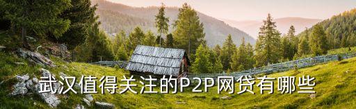 武漢值得關(guān)注的P2P網(wǎng)貸有哪些