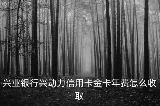 興動力金卡是什么樣子，商業(yè)銀行金卡長什么樣