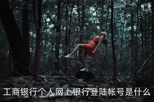 工商網(wǎng)銀賬號(hào)是什么樣的，中國(guó)工商銀行網(wǎng)上銀行的帳號(hào)格式是什么