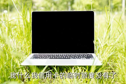 我什么我信用卡的臨時(shí)額度沒有了