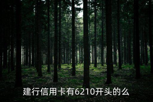 建行信用卡有6210開(kāi)頭的么