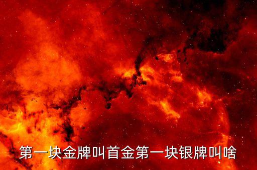 首銀是什么意思是什么意思是什么，首銀是什么意思