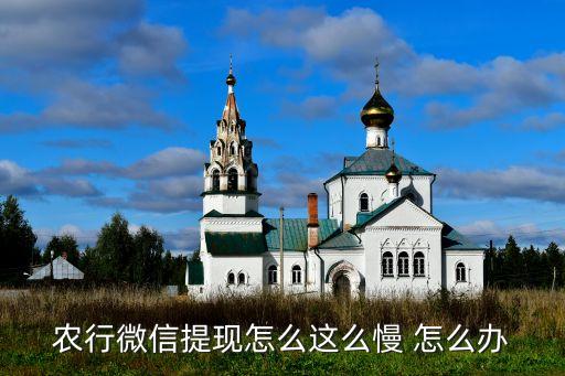 農(nóng)行微信提現(xiàn)怎么這么慢 怎么辦
