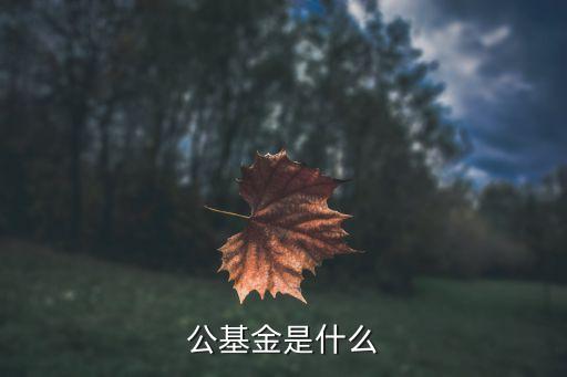 公基金是什么