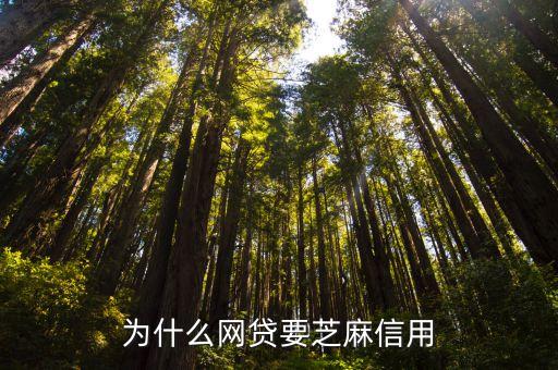 為什么網貸要芝麻信用