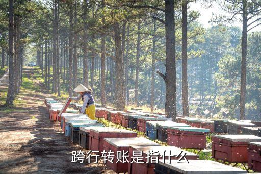 跨行轉(zhuǎn)賬是指什么