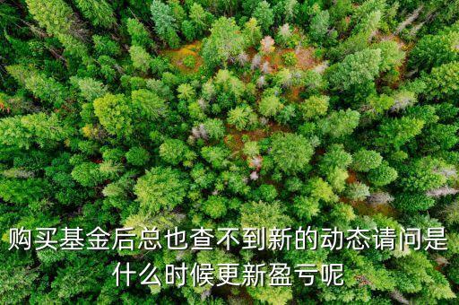 基金跌幅什么時(shí)候刷新，基金凈值什么時(shí)間更新