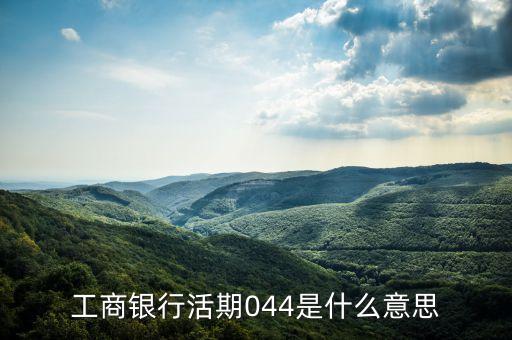 工商銀行活期044是什么意思
