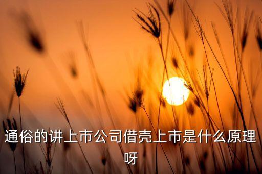 通俗的講上市公司借殼上市是什么原理呀