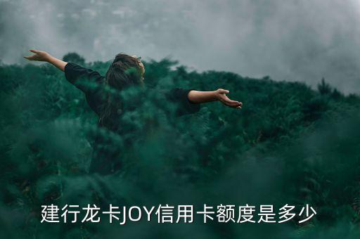 建行龍卡JOY信用卡額度是多少