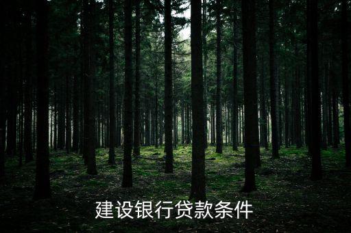 建設(shè)銀行貸款條件