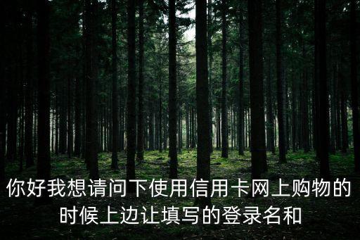 你好我想請(qǐng)問下使用信用卡網(wǎng)上購(gòu)物的時(shí)候上邊讓填寫的登錄名和