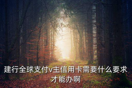 建行全球支付v主信用卡需要什么要求才能辦啊