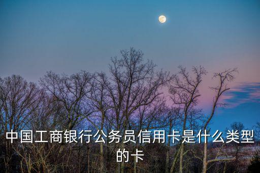 中國(guó)工商銀行公務(wù)員信用卡是什么類型的卡