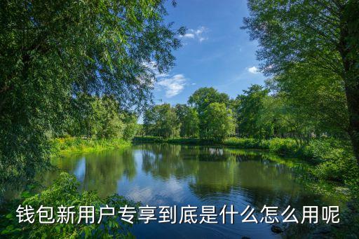 錢包新用戶專享到底是什么怎么用呢