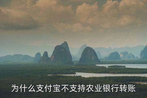 為什么支付寶不支持農(nóng)業(yè)銀行轉(zhuǎn)賬