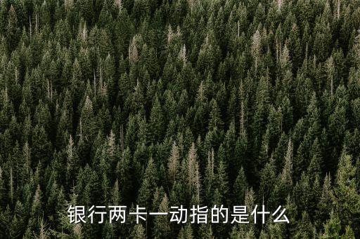 銀行兩卡一動(dòng)指的是什么