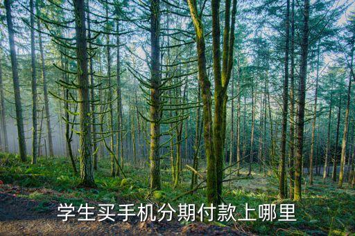 手機(jī)分期用什么買，手機(jī)哪個(gè)軟件可以分期付款手機(jī)