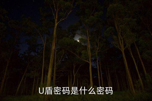 u盾需要設(shè)置什么密碼是什么，u盾密碼是什么