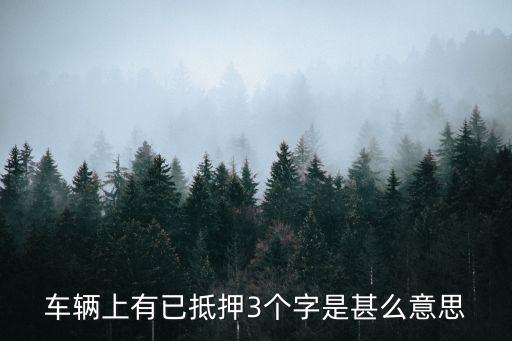 汽車上抵什么意思是什么，車輛上有已抵押3個字是甚么意思