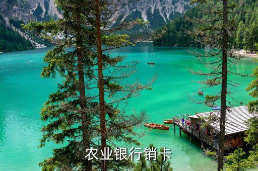農(nóng)業(yè)銀行銷卡