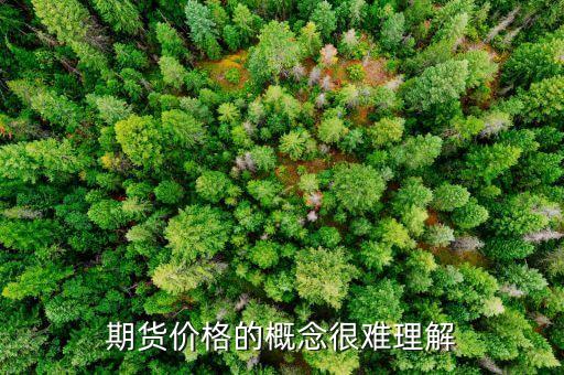 期貨價(jià)格的概念很難理解