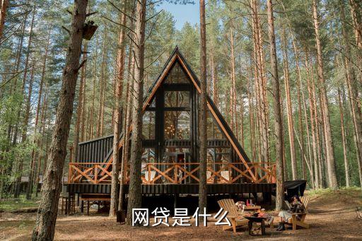 榮譽(yù)網(wǎng)貸是什么，網(wǎng)貸到底是什么東西