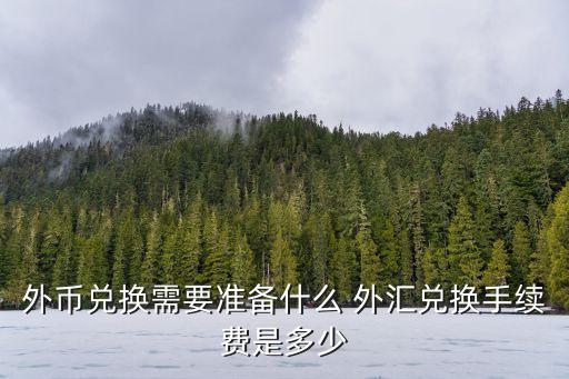 外幣兌換需要準(zhǔn)備什么 外匯兌換手續(xù)費(fèi)是多少