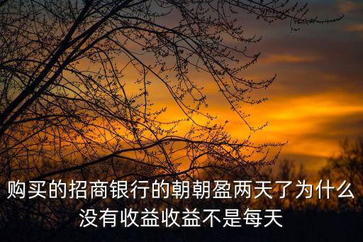 購(gòu)買的招商銀行的朝朝盈兩天了為什么沒(méi)有收益收益不是每天