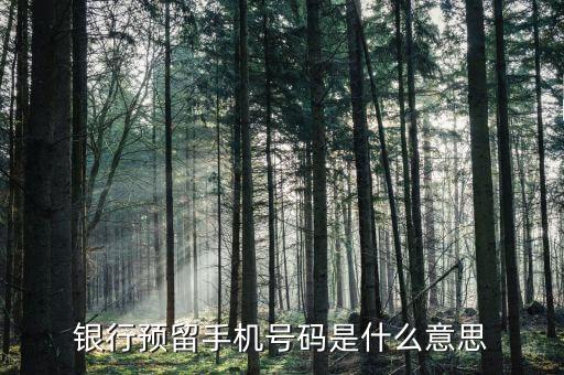 銀行卡里的預留手機號碼是什么意思，什么是銀行預留手機號碼預