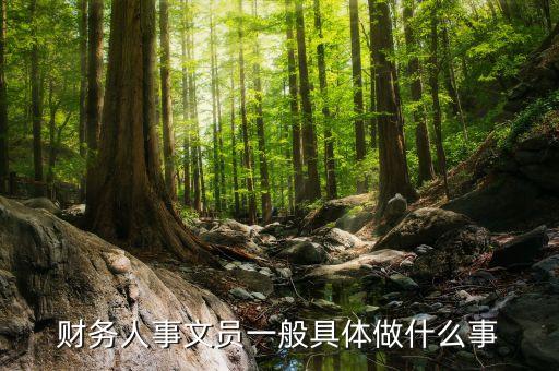 財務(wù)人事文員一般具體做什么事