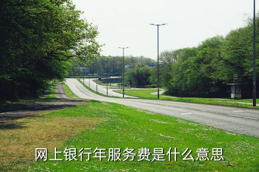網上銀行年服務費是什么意思