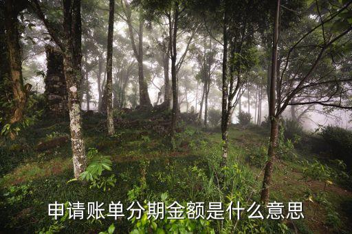 申請(qǐng)賬單分期金額是什么意思