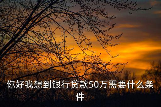 你好我想到銀行貸款50萬(wàn)需要什么條件