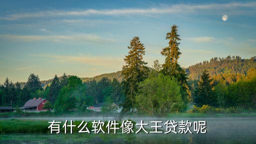 什么app企業(yè)貸款，有什么軟件像大王貸款呢