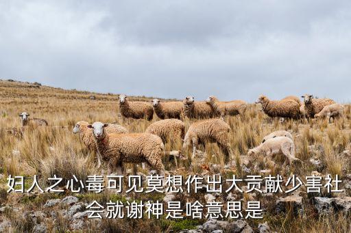 信用卡小嬌是什么意思是什么生肖，婦人之心毒可見莫想作出大貢獻少害社會就謝神是啥意思是