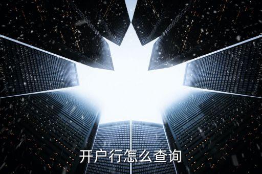 銀行查開戶行都用什么資料，怎么查詢開戶行