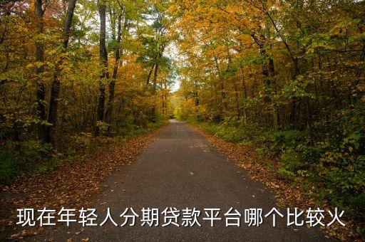 現(xiàn)在年輕人分期貸款平臺哪個比較火