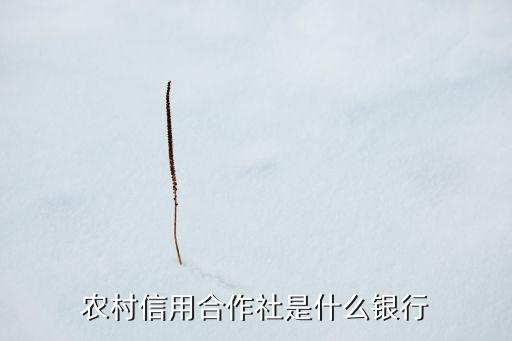 農(nóng)村信用社支行是什么，請(qǐng)問農(nóng)信社的分支機(jī)構(gòu)有哪些是怎么劃分的