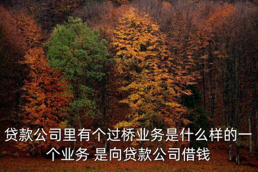 貸款公司里有個過橋業(yè)務是什么樣的一個業(yè)務 是向貸款公司借錢