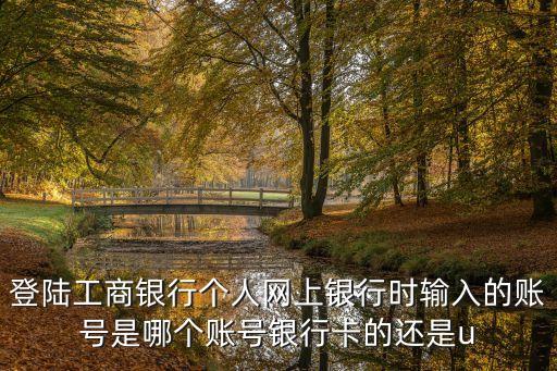 登陸工商銀行個人網(wǎng)上銀行時輸入的賬號是哪個賬號銀行卡的還是u