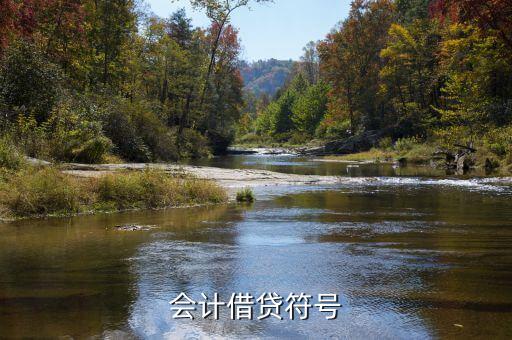借貸標(biāo)記1表示什么，會(huì)計(jì)借貸符號(hào)