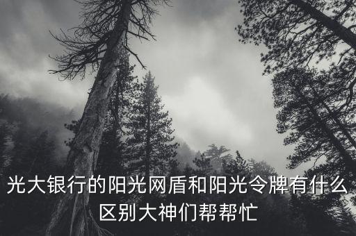 光大銀行的陽(yáng)光網(wǎng)盾和陽(yáng)光令牌有什么區(qū)別大神們幫幫忙