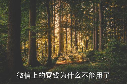 微信上的零錢為什么不能用了
