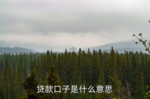 什么是分期口子，銀行口子什么意思