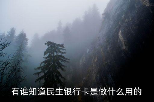 有誰(shuí)知道民生銀行卡是做什么用的