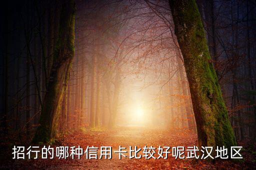 招行辦什么卡比較好，招行的哪種信用卡比較好呢武漢地區(qū)