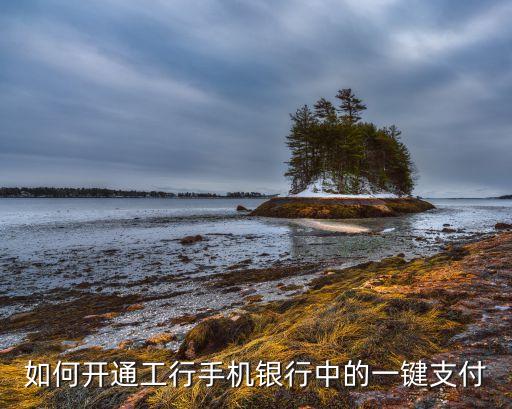 如何開通工行手機(jī)銀行中的一鍵支付
