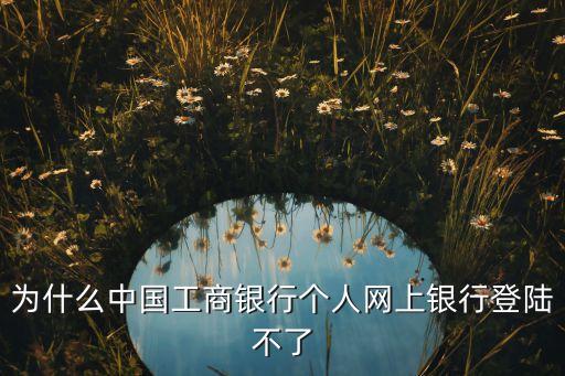 為什么中國工商銀行個(gè)人網(wǎng)上銀行登陸不了