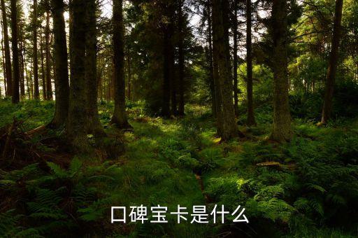 口碑寶卡是什么